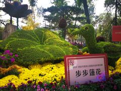 -莲湖公园