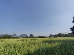 -明仕田园