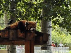 -北京野生动物园