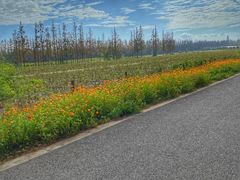 -上海长兴岛郊野公园