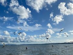 -商业广场(Praça do Comércio)