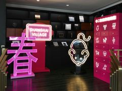 -MCM(比斯特上海购物村店)