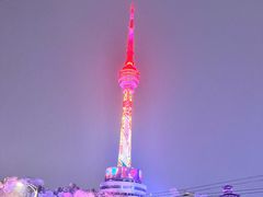 -龟山风景区-龟山电视塔