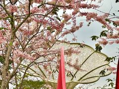 -白石龙音乐公园