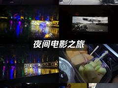 -枫花园汽车电影院(朝阳公园店)