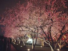 -大雁塔北广场音乐喷泉