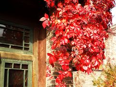 -卧龙堡客栈·中餐厅(古北水镇店)