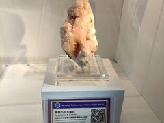 -中国地质大学逸夫博物馆