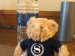 -澳门喜来登大酒店