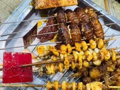 -海波肉串(金顶山大街店)
