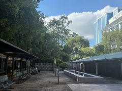 -九龙公园