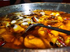 -雲蜀龙阁·金牌水煮鱼(方庄店)