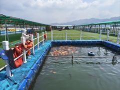 -千岛湖-欢乐水世界