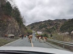 -硗碛藏寨·神木垒景区