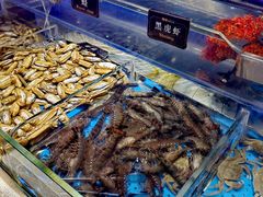 -加餐海鲜自助(宝龙一城店)