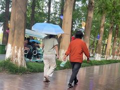 -黄海国家森林公园