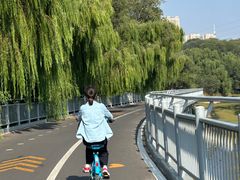 -长白岛森林公园