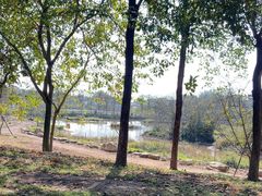 -天适樱花悠乐园