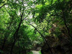 -北京上方山国家森林公园