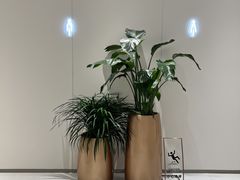 -万达广场(南昌红谷滩店)