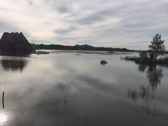 -北药泉