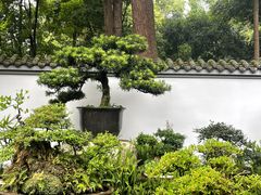 -成都杜甫草堂博物馆