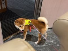 -品未·铁板烧(甜水园店)
