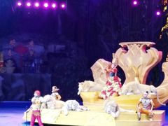 -广州长隆国际大马戏