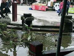 -三道苗苗鱼(三道堰老字号店)