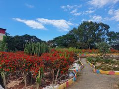 -松山湖梦幻百花洲