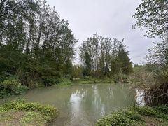 -桤木河湿地公园