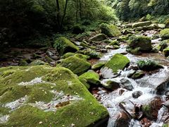 -碧峰峡风景区
