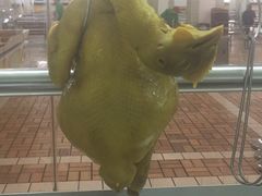 白切鸡-复旦大学（邯郸校区）南区餐厅