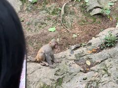 -黔灵山公园