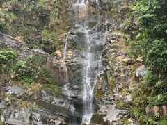 -鼎湖山风景区
