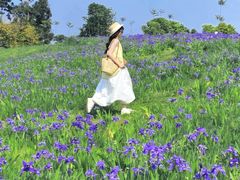 -白鹭湾湿地公园