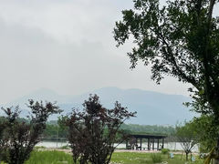 -三垟湿地