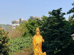 -小南山公园