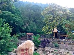 -泰山风景名胜区