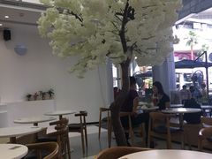 -艾薯夫妇Aysh(福田星河COCOPark店)