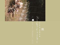 -怪咖·joker陈楠
