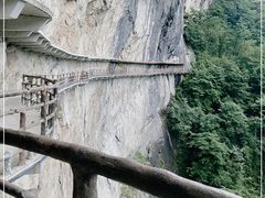 -鹿院坪生态旅游景区