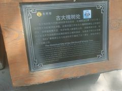 -大槐树寻根祭祖园