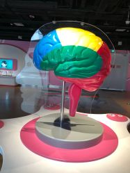 -北京科学中心儿童乐园