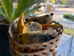 -清迈夜间动物园