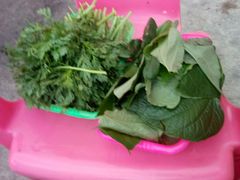 -霞姐屯昌枫木香草鸭店(海螺店)