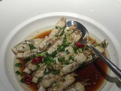 -滕头生态酒店(奉化店)
