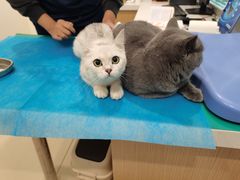 -美迦爱-牙专科·兔科·骨科诊疗中心(北苑店)