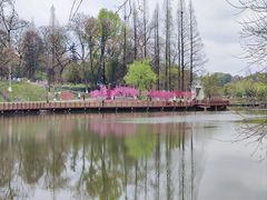 -常德桃花源景区