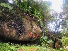 -青芝山风景名胜区